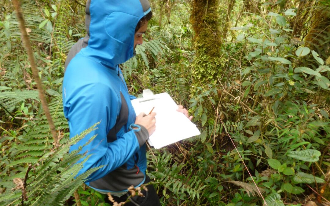 Apoyo en procesos de monitoreo ambiental y de ecosistemas