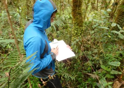 Apoyo en procesos de monitoreo ambiental y de ecosistemas