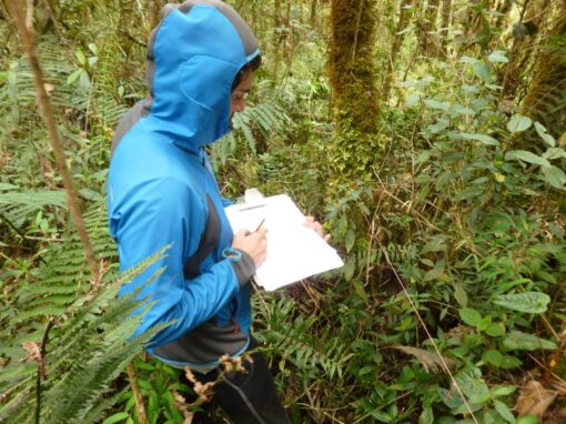 Apoyo en procesos de monitoreo ambiental y de ecosistemas Apoyo en procesos de monitoreo ambiental y de ecosistemas